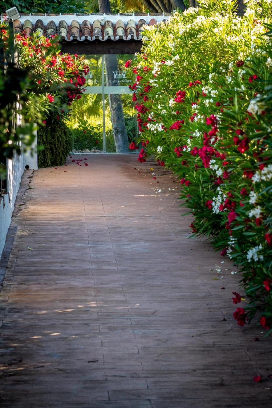 Marbella Banus Suites - Lily Playas Del Duque Banus Beach Apartment Kültér fotó